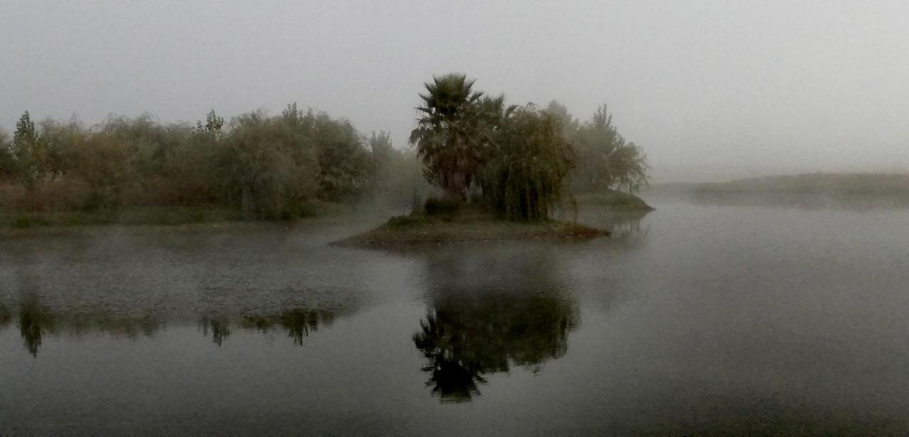 Herdade Da Diabroria - Agroturismo Beja Bagian luar foto
